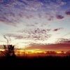 grits_87